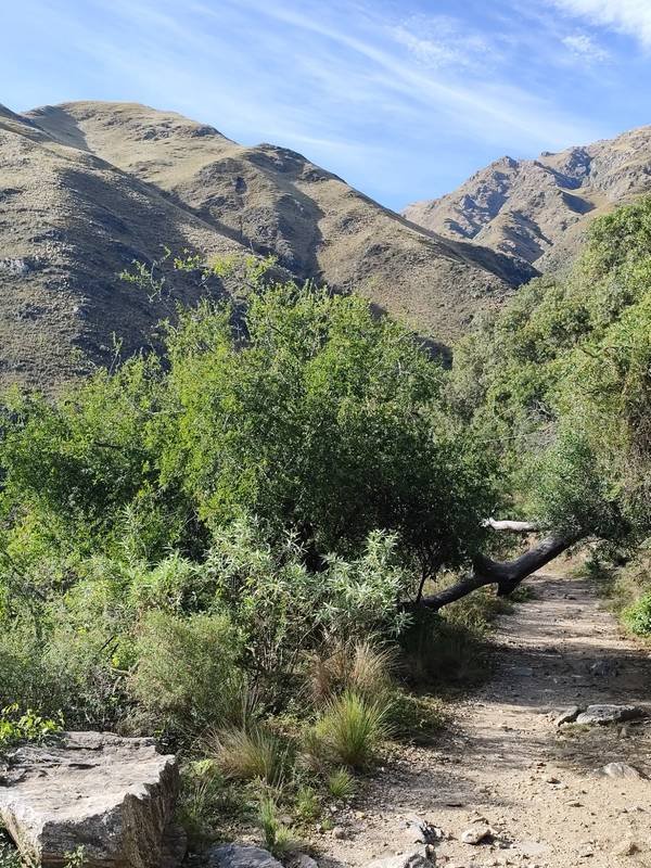 Sendero de montaña Comechingones