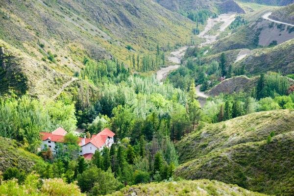Excursión Villavicencio + Precordillera